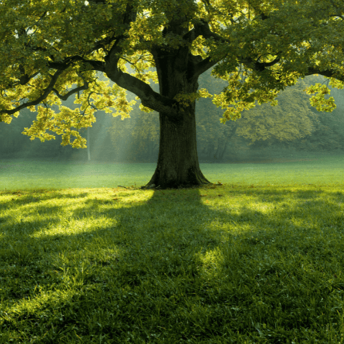 From fragmentation to focus: A $200M portfolio transformation